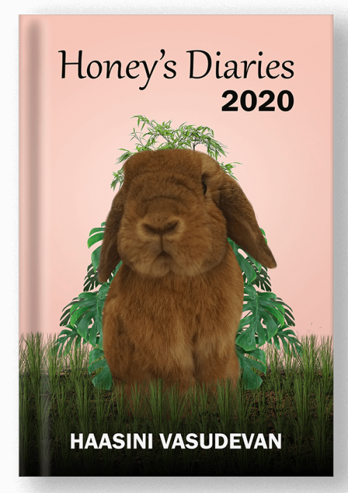 book-honeys-diaries